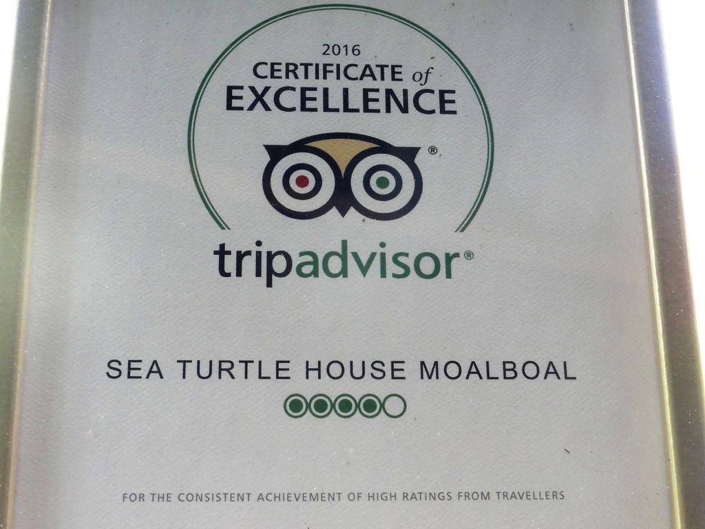 Отель Sea Turtle House Моалбоал Экстерьер фото